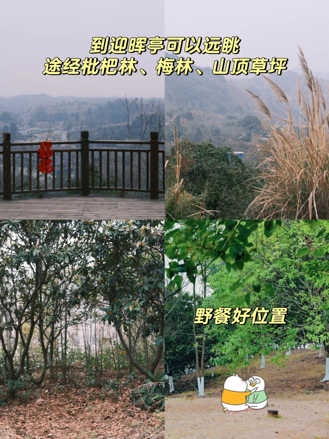 成都周边1h｜预定一个待爆款