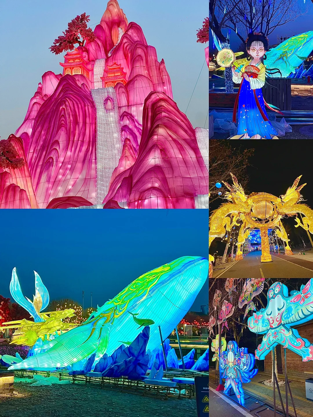 新春伊始 是时候带全家人👬一起赏灯出游