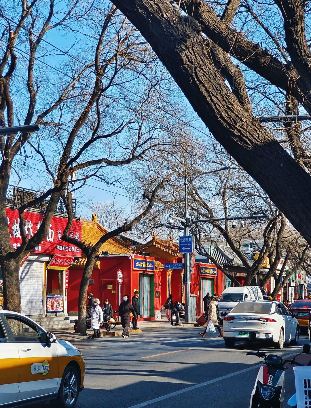 带爸妈出去旅游只适合跟团，我说的！！