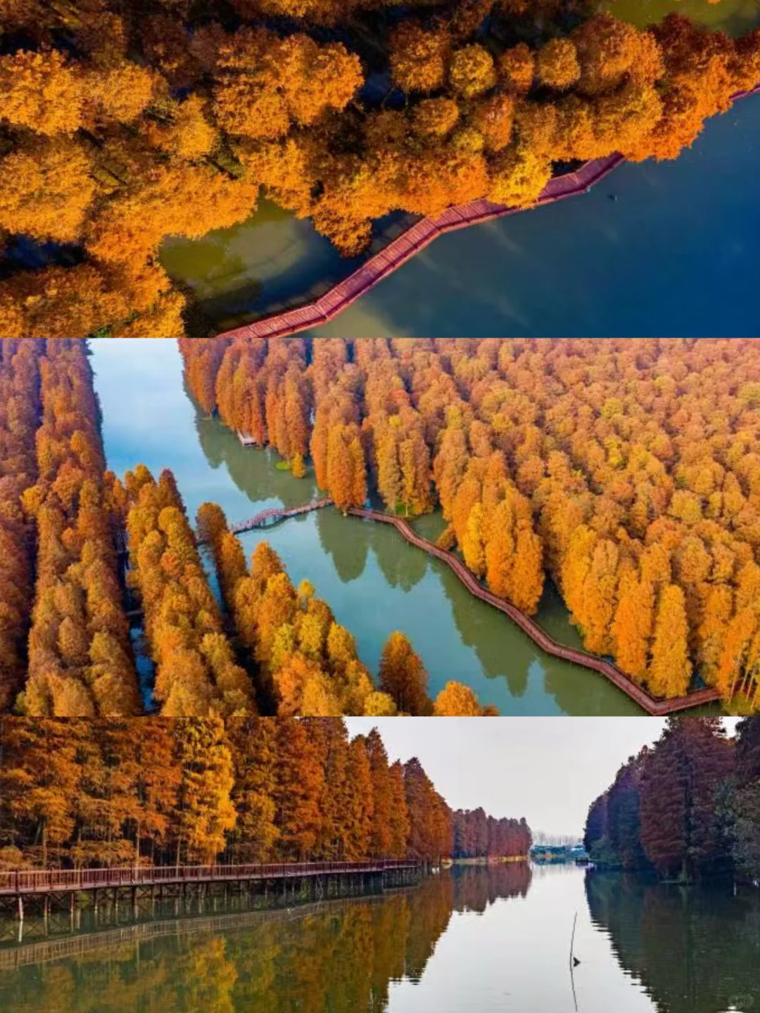 抄作业春节来泰州直接复制这条citywalk路线