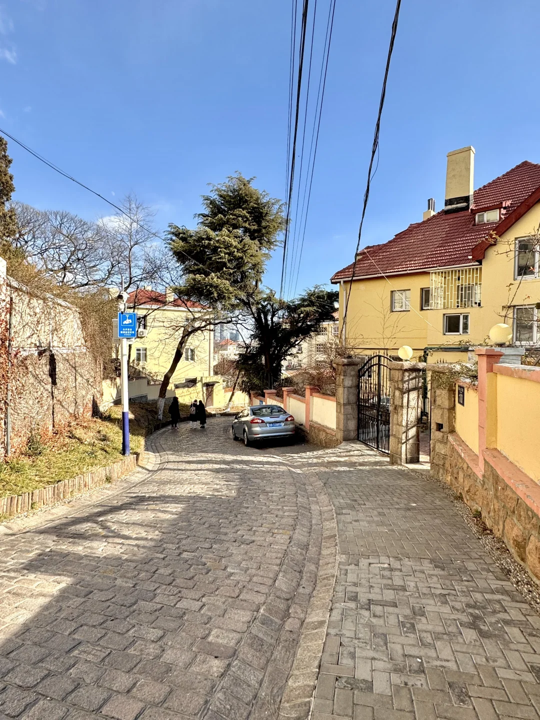 青岛1月16日现状！反向旅游真的劝退不了一点