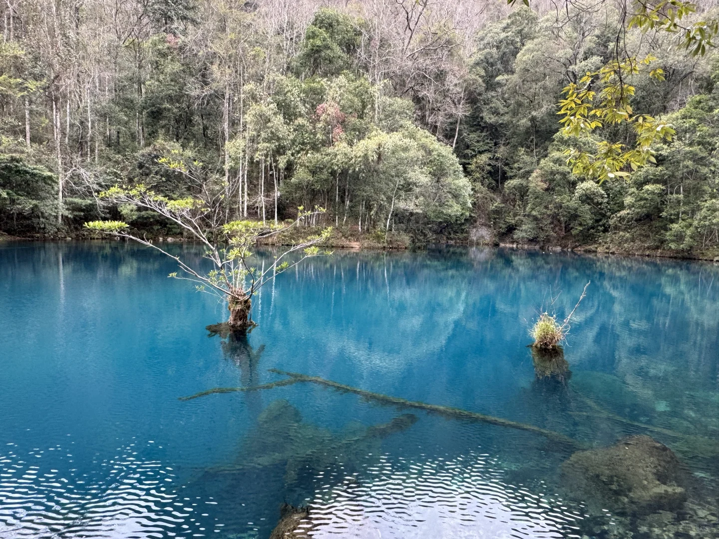 荔波小七孔景区超美