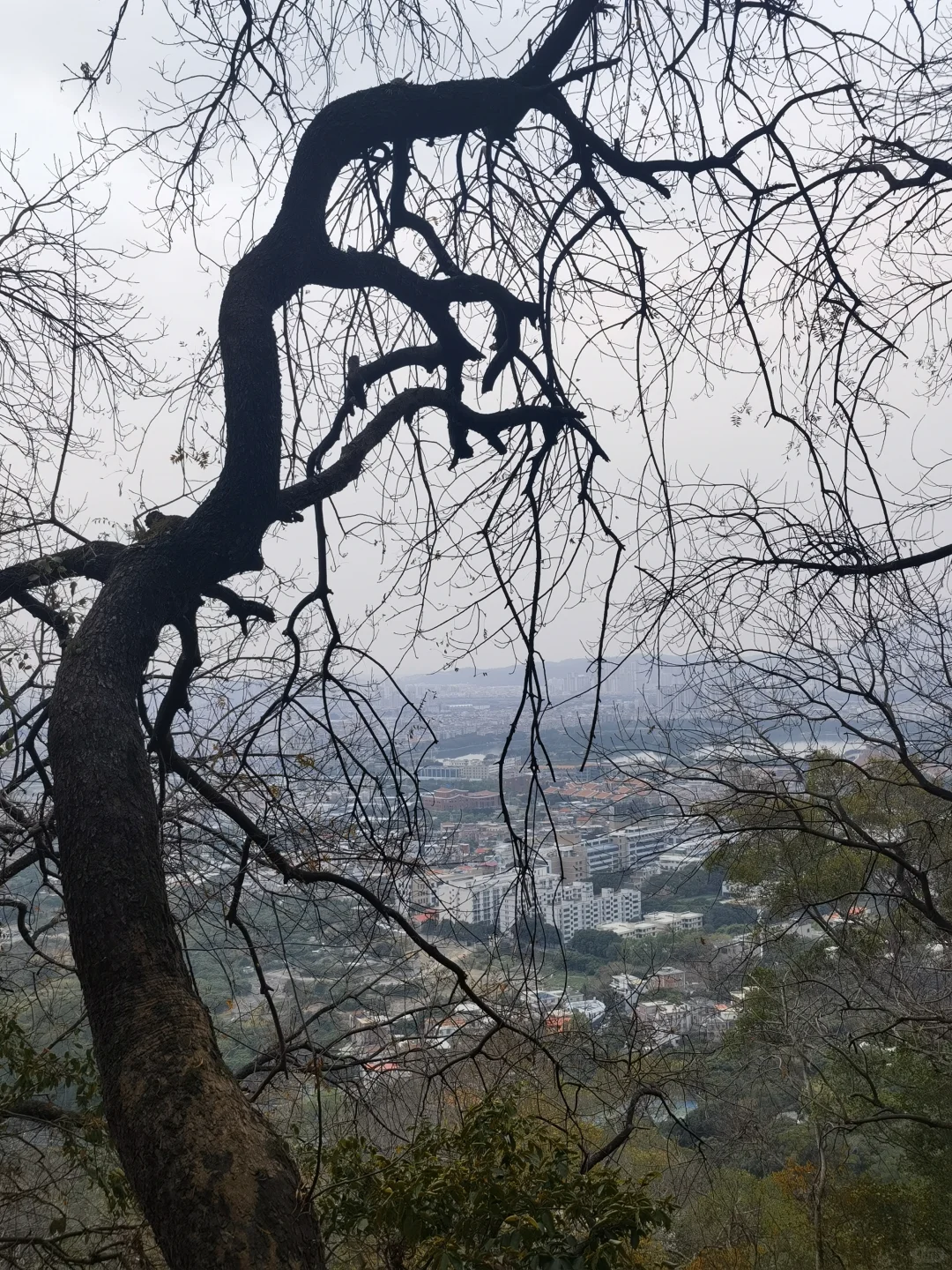 清源山I5A景区免门票是真香👌