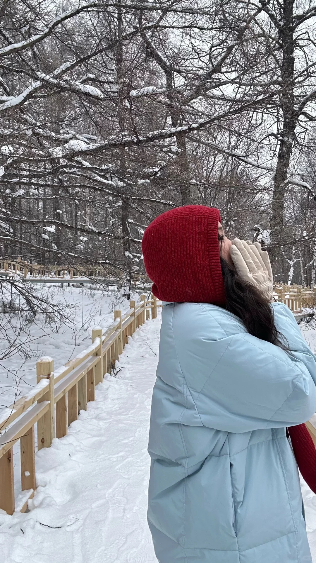 祖国的大好河山