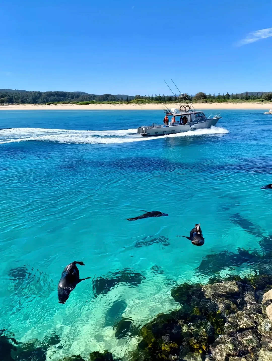 真心建议…春节就去斐济吧，划算到怀疑人生😱