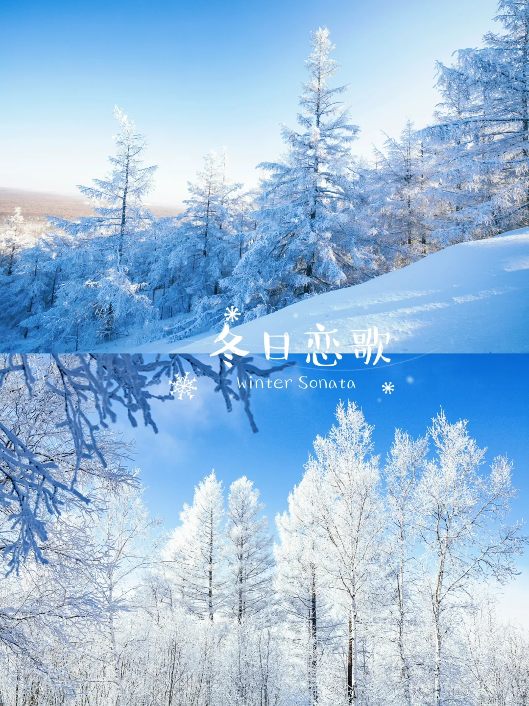 🫅童话阿尔山 |过年小众旅行地🧨