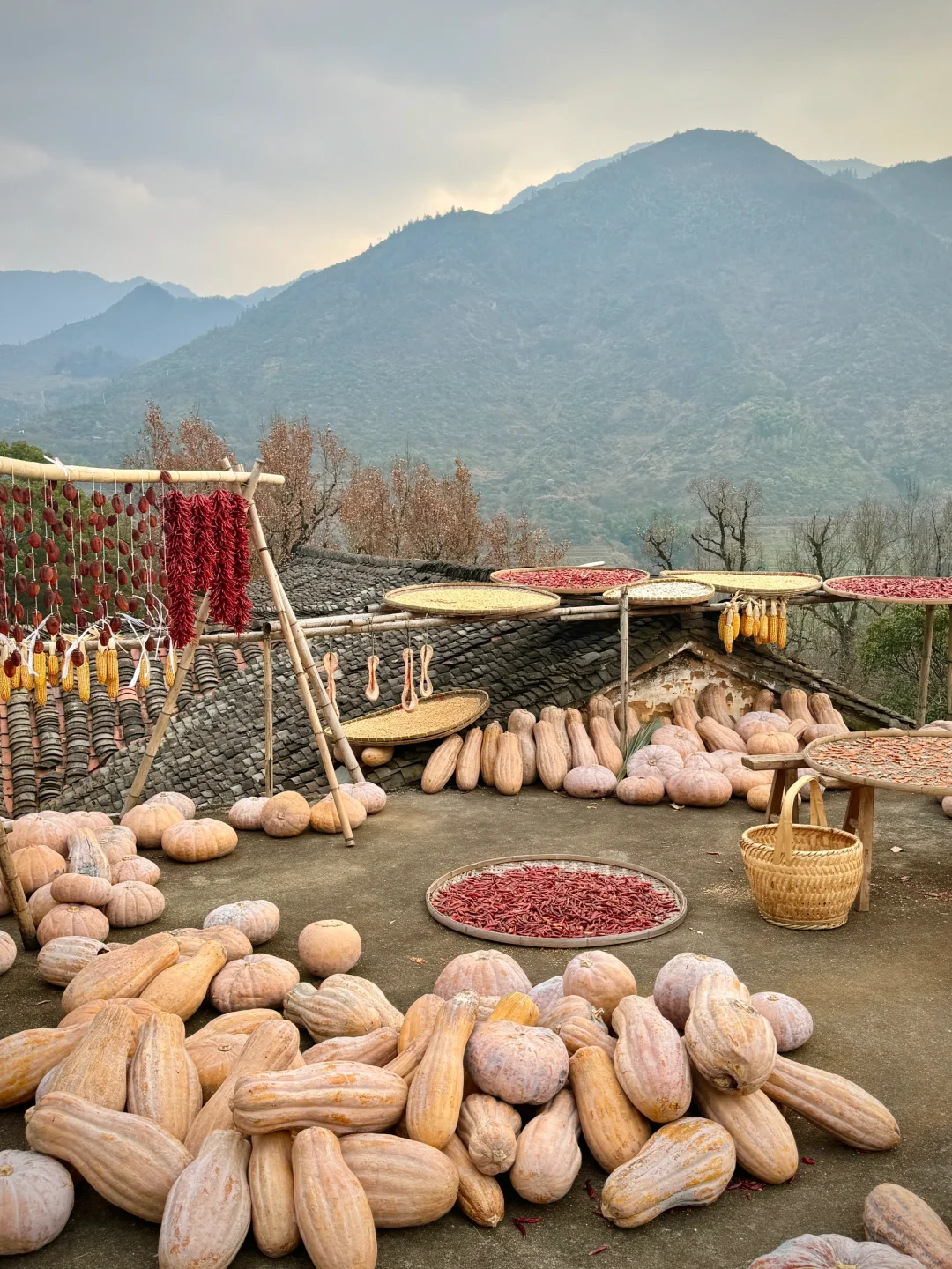 比起苏杭的烟雨江南,更爱徽州的水墨江南………