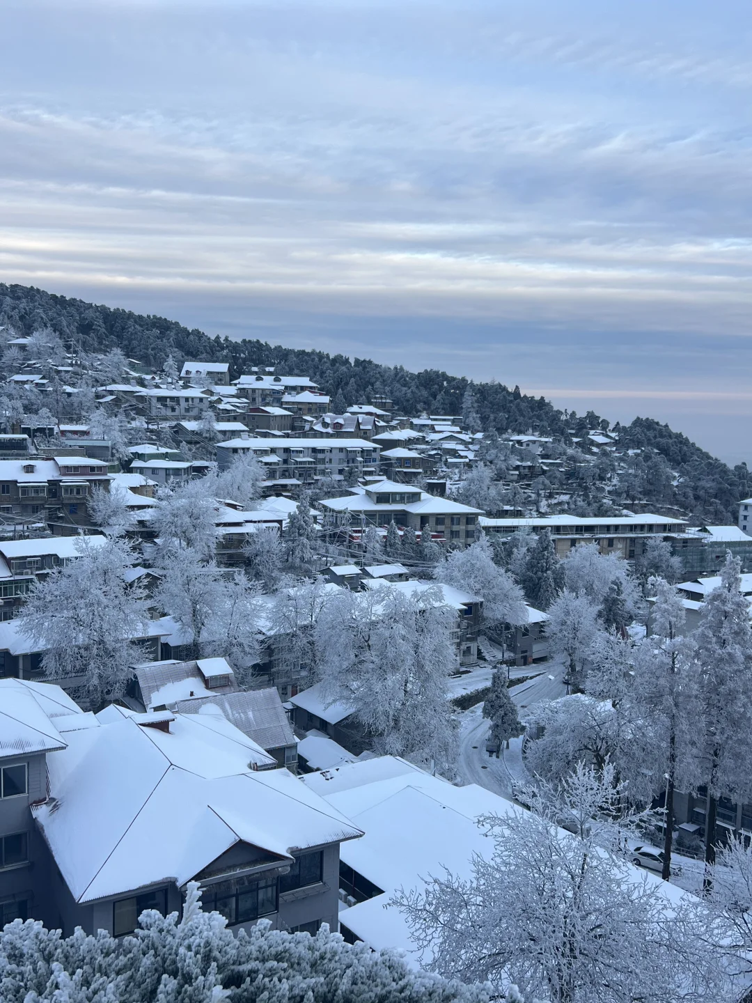 一到冬天❄️庐山就是掌管雪景的神👺【1.26】