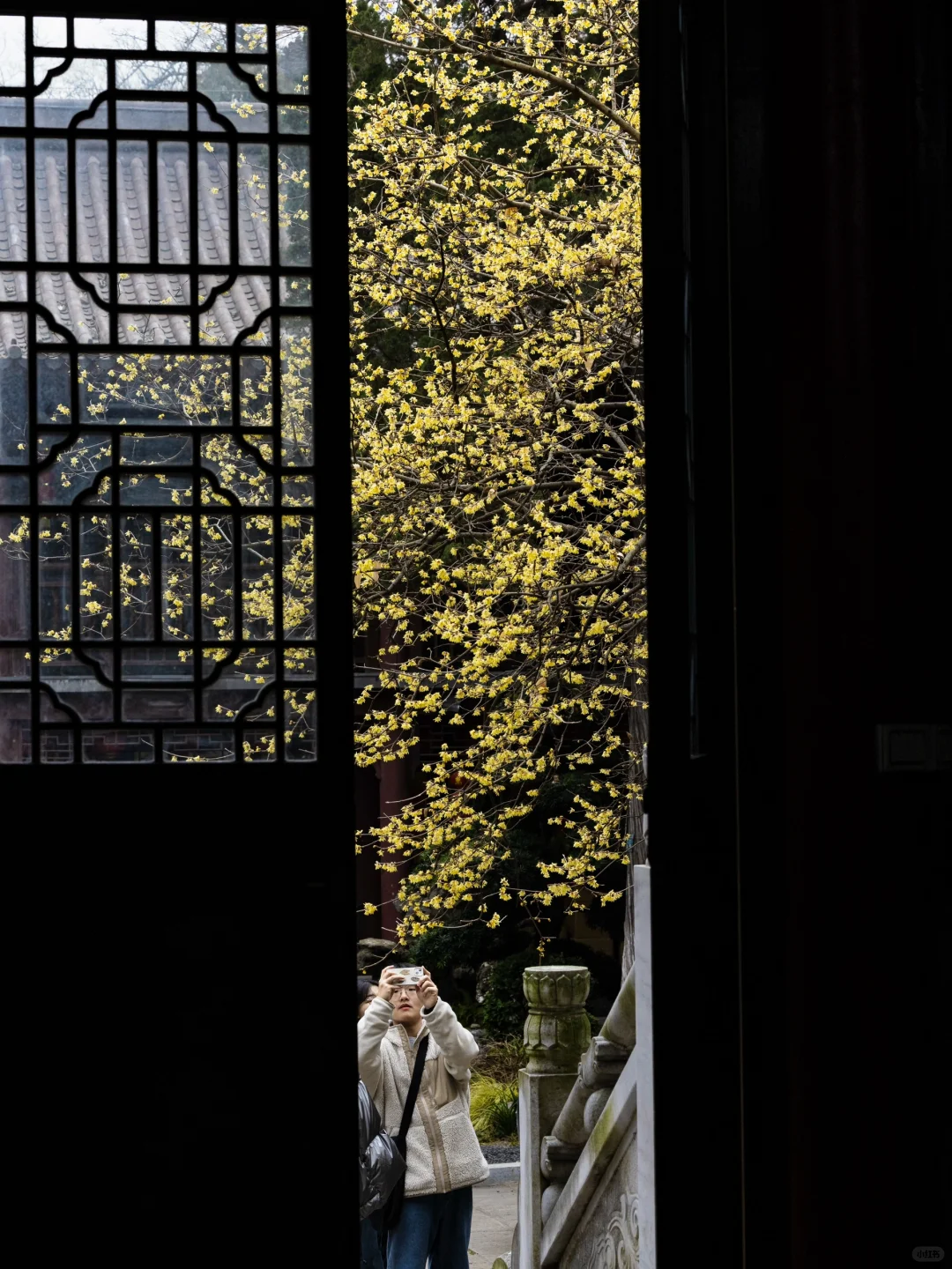 我夸南京一万遍,不及你亲自来看一眼 附攻略