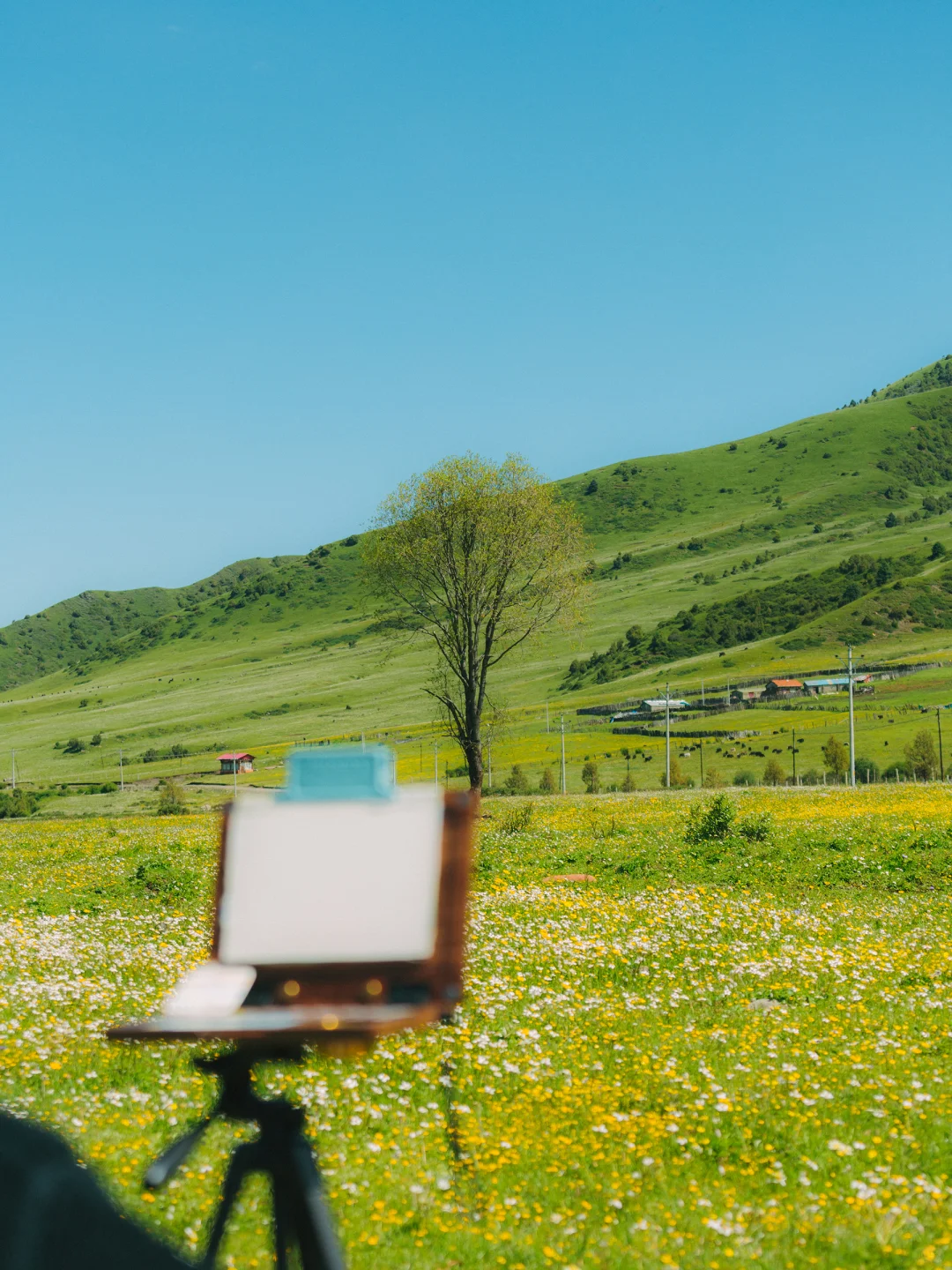 real China! Chinese outdoor life