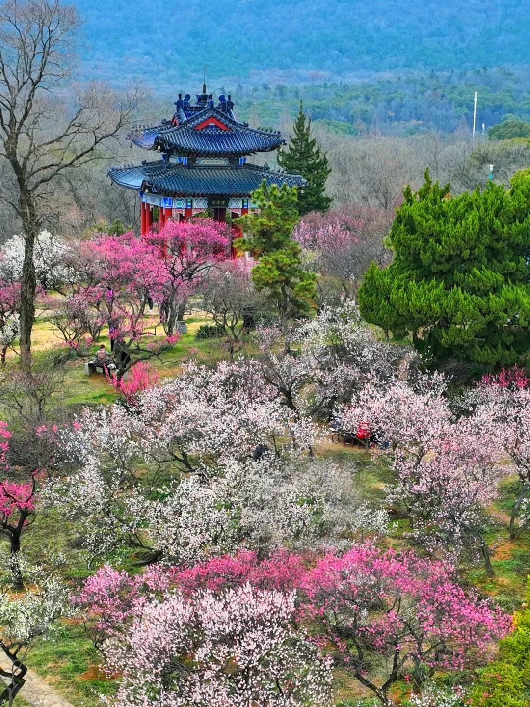 我夸南京一万遍,不及你亲自来看一眼 附攻略