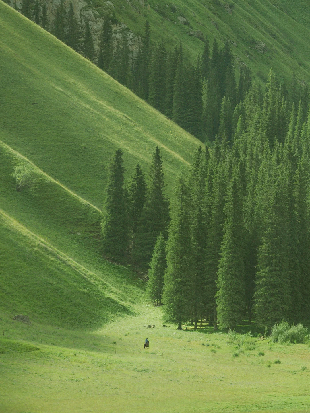 real China! Chinese outdoor life