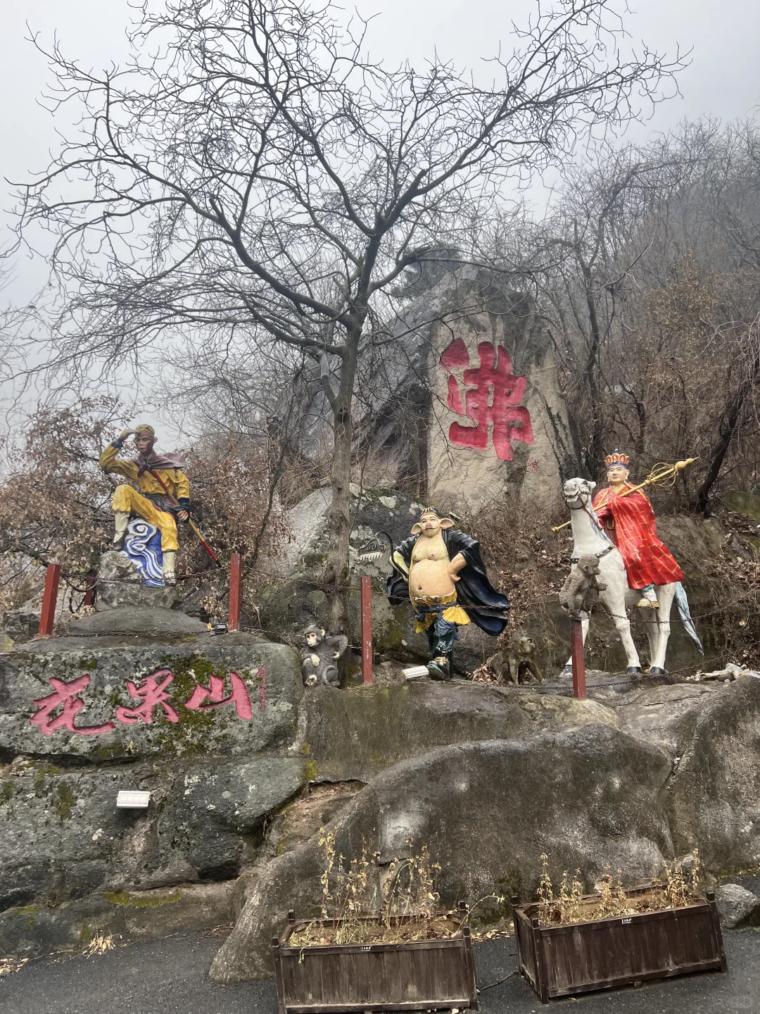 洛阳过年有地方去啦‼️猴戏表演欢笑连连