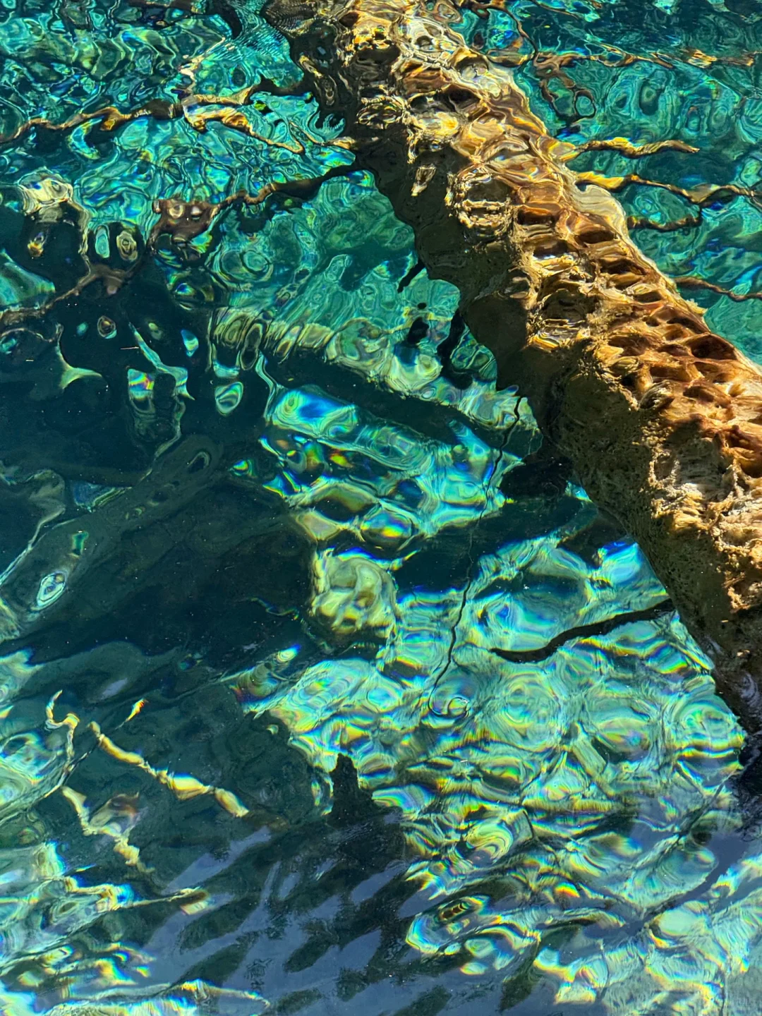 1.21📍九寨沟live实况❗️真心建议➕避雷攻略