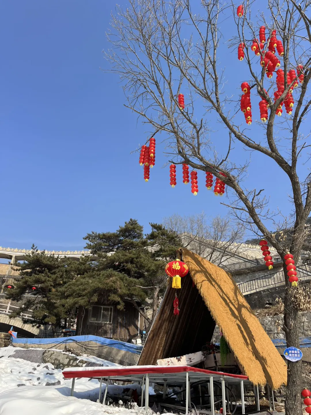 春节来龟蒙景区!被美哭了!!