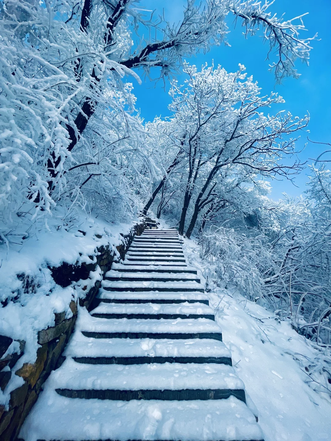 距离西安1.5小时,这里过年居然这么好玩