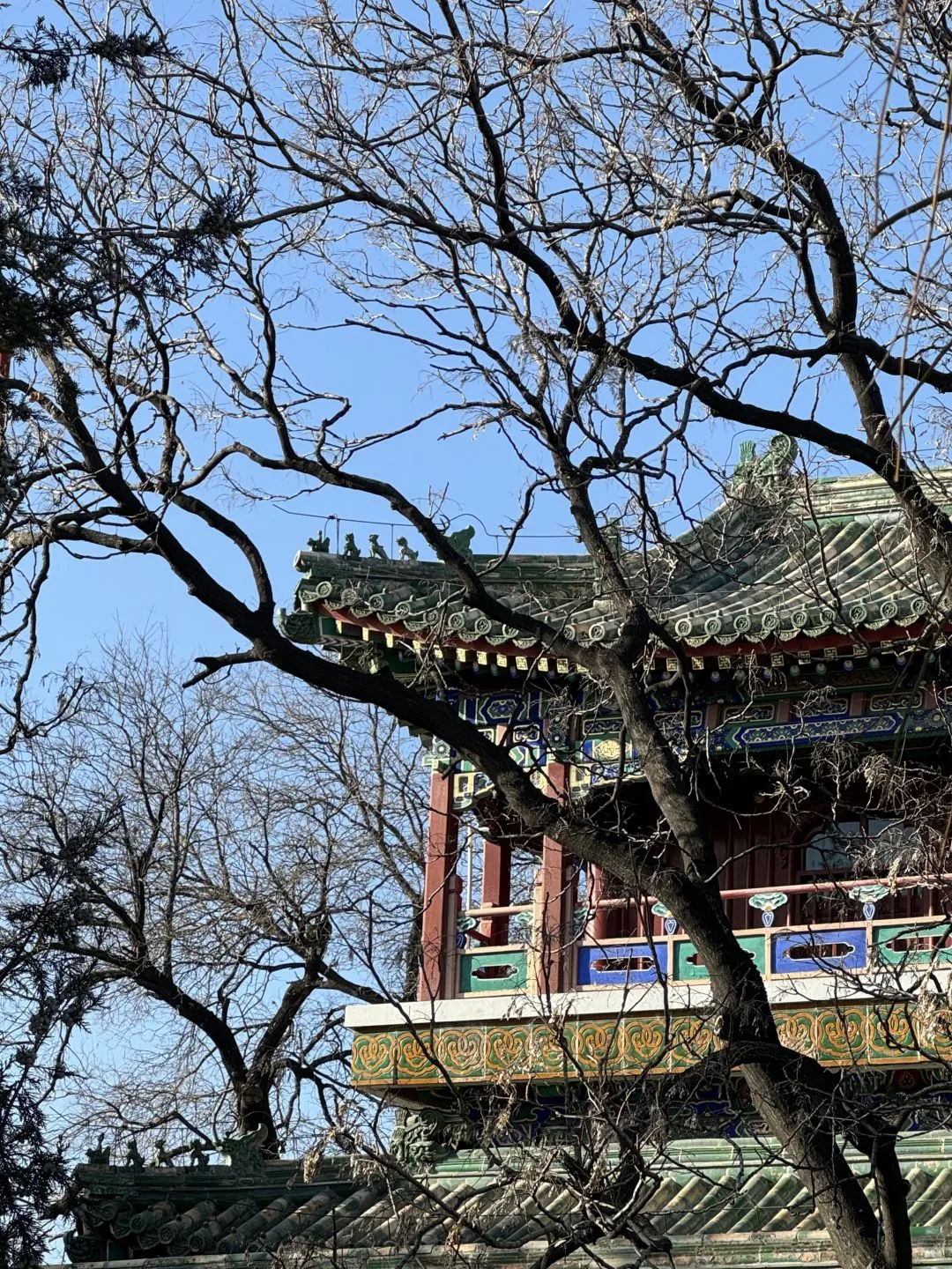 带爸妈出去旅游只适合跟团，我说的！！