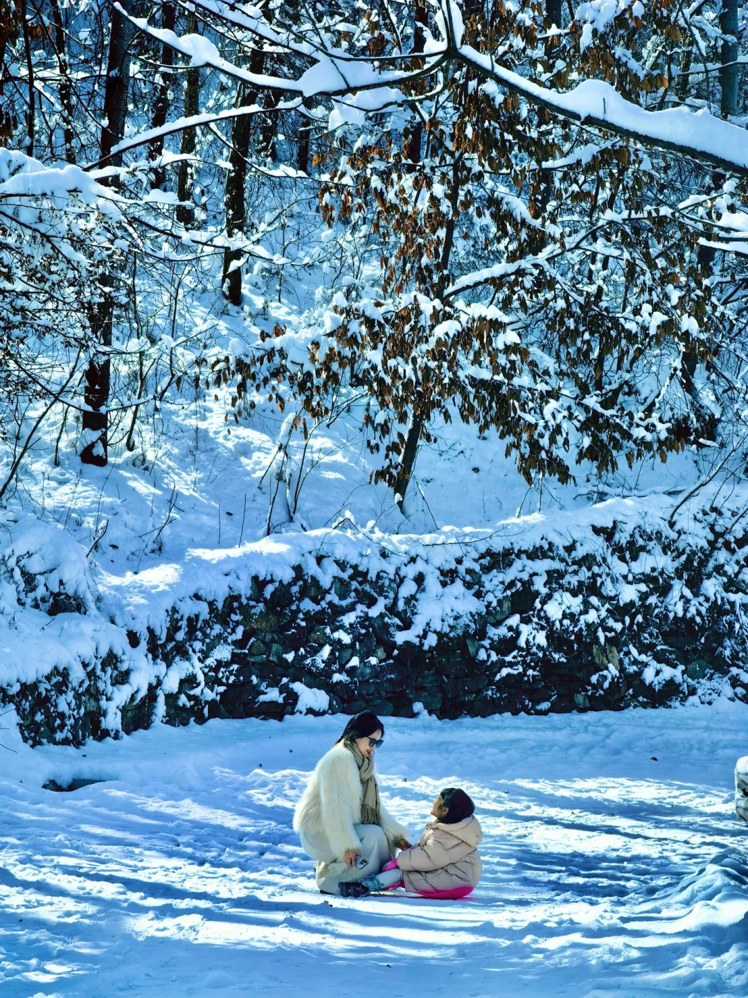 美到失语❗️西安0.5h直达阿勒泰，能免费滑雪