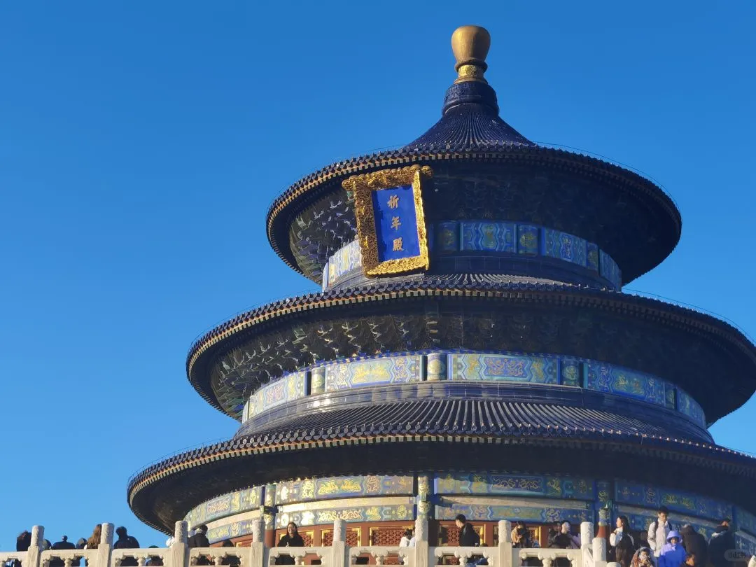 带爸妈出去旅游只适合跟团，我说的！！