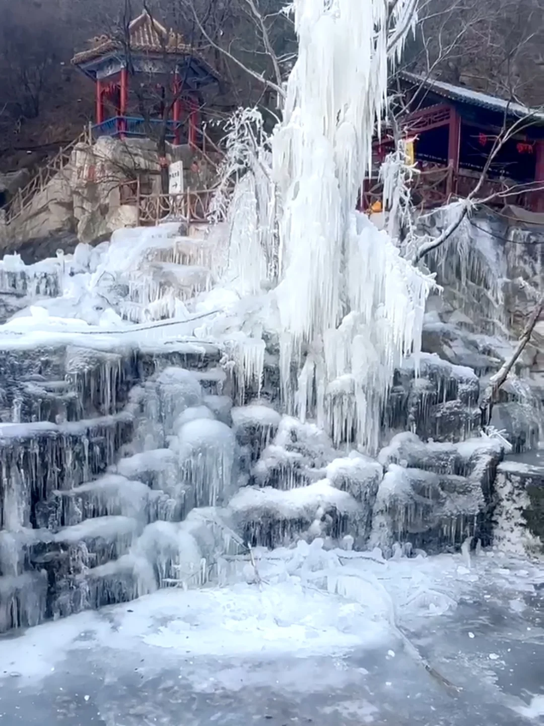 洛阳过年有地方去啦‼️猴戏表演欢笑连连