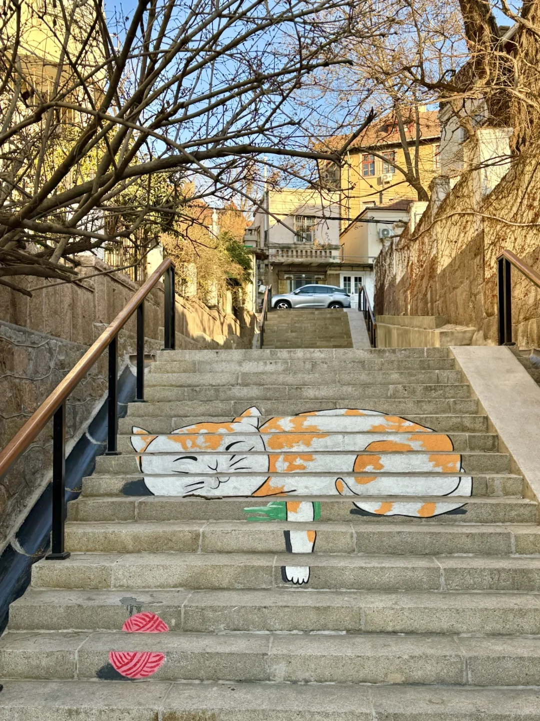 青岛1月16日现状！反向旅游真的劝退不了一点