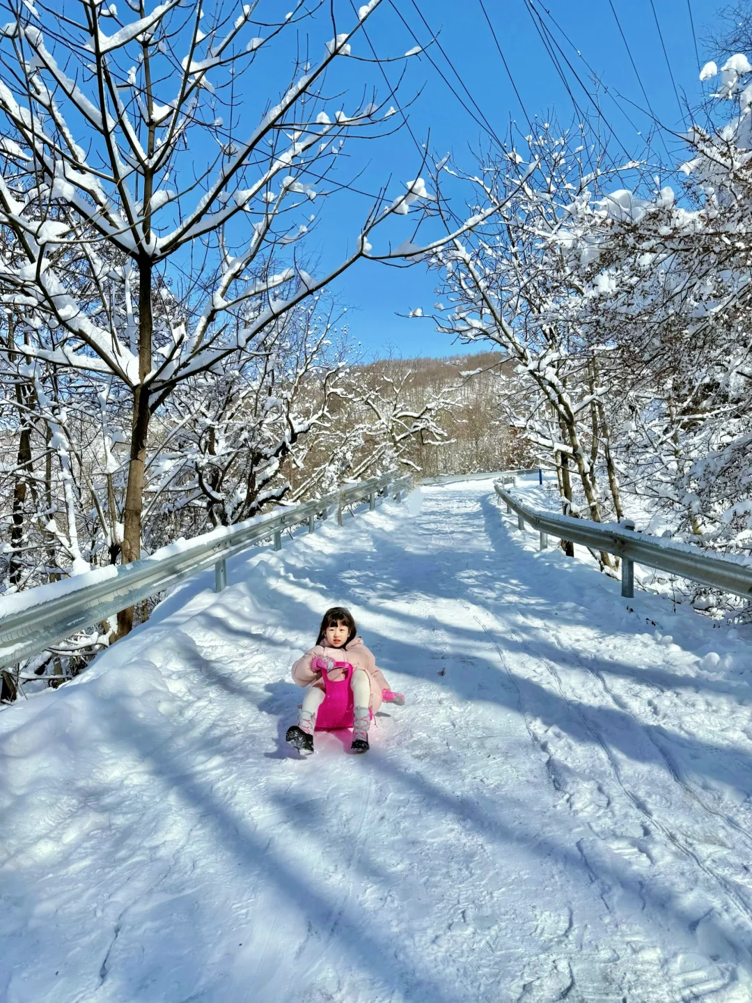 美到失语❗️西安0.5h直达阿勒泰，能免费滑雪