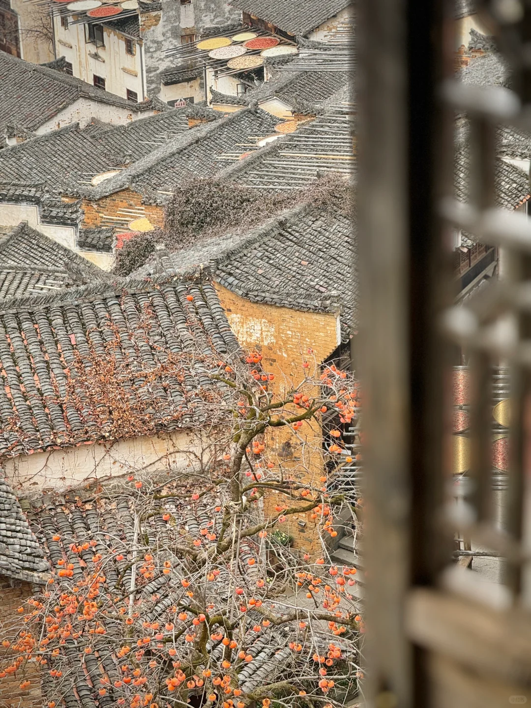 比起苏杭的烟雨江南,更爱徽州的水墨江南………