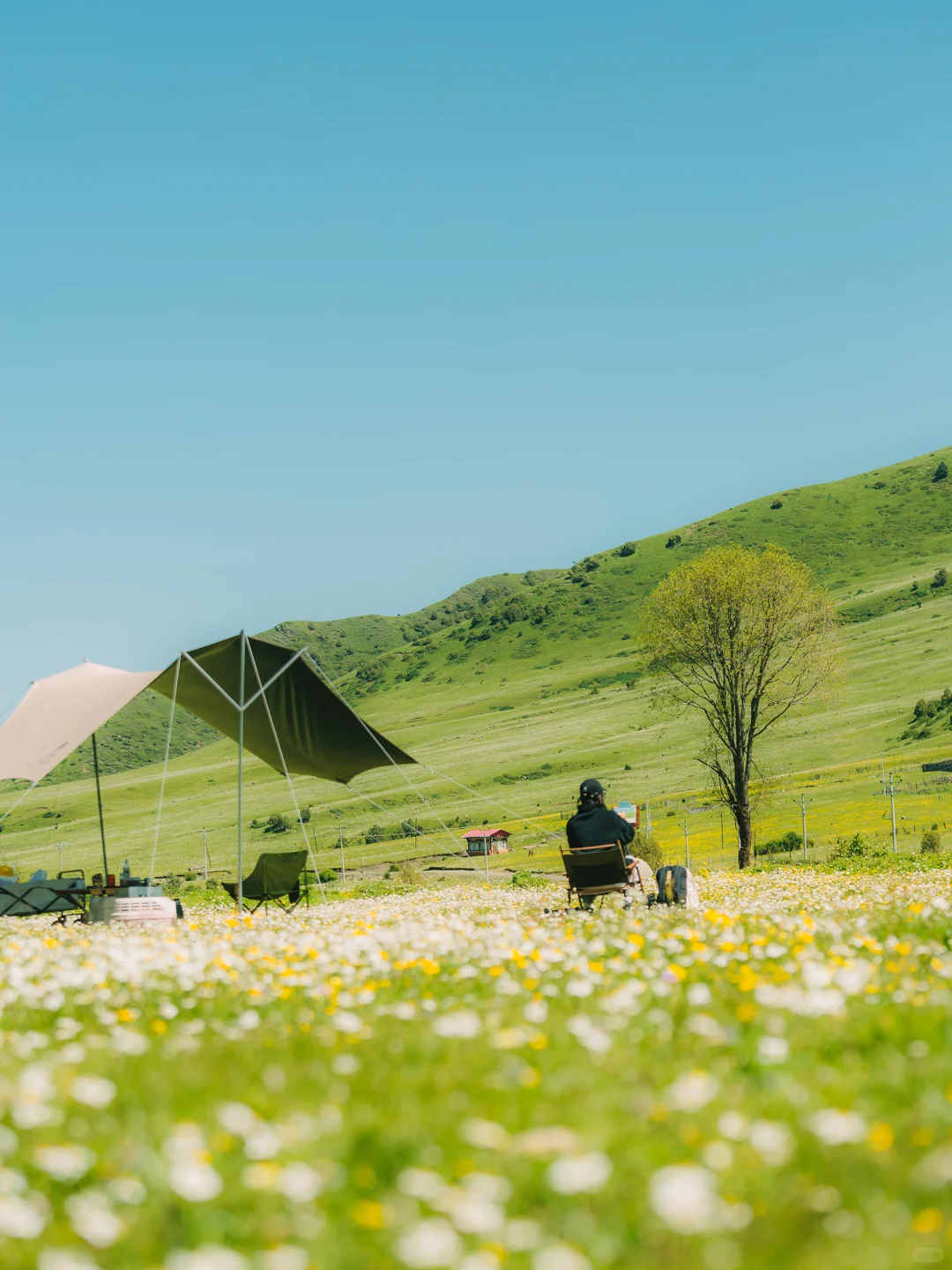 real China! Chinese outdoor life