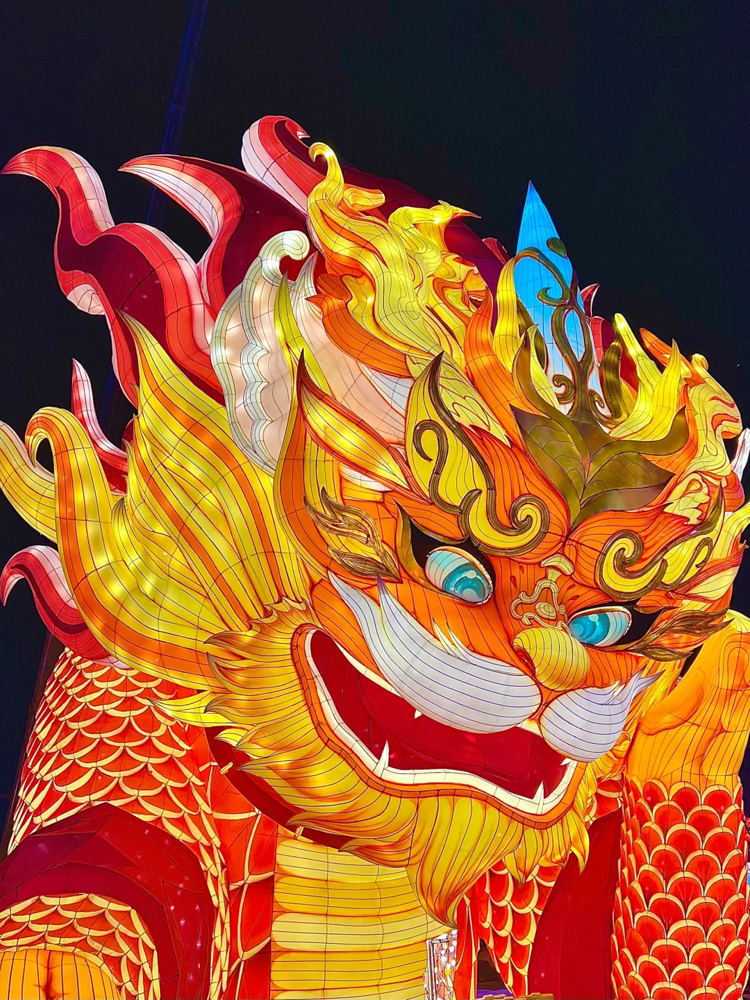 新春伊始 是时候带全家人👬一起赏灯出游