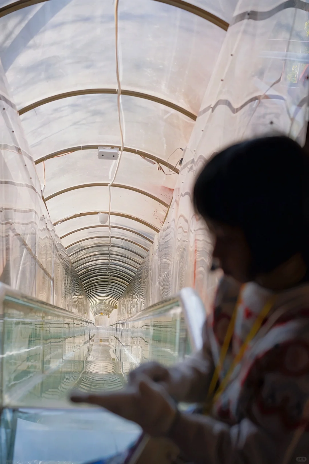 反向旅游！广州2h找到了适合遛娃的洞天仙境