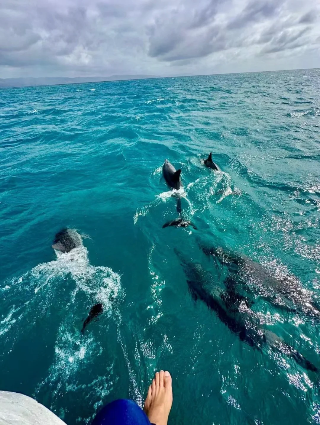 真心建议…春节就去斐济吧，划算到怀疑人生😱