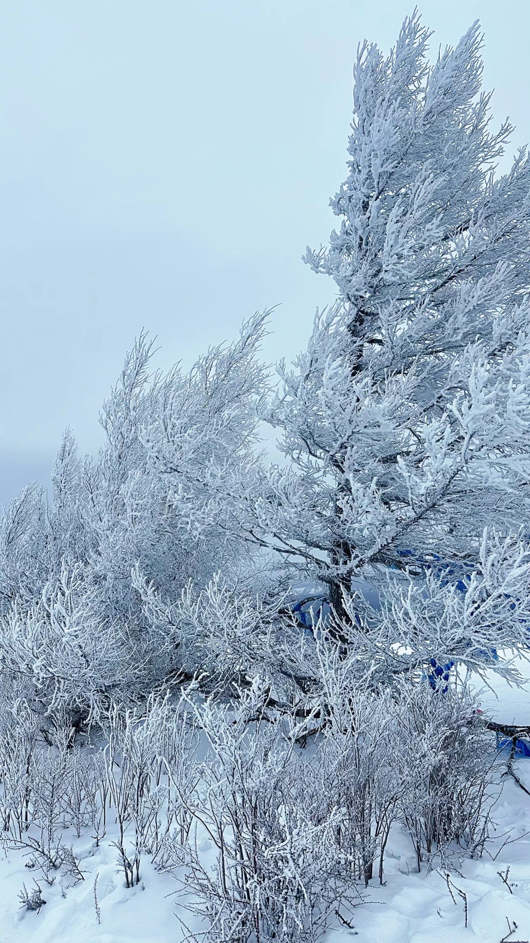 祖国的大好河山
