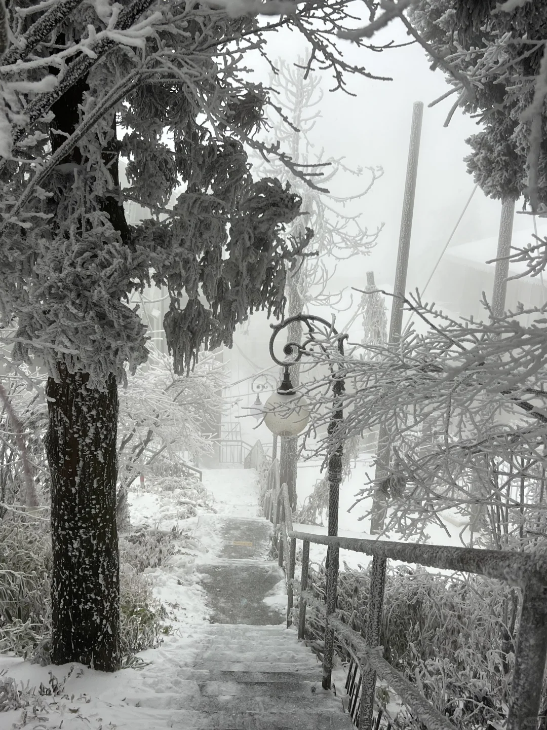 一到冬天❄️庐山就是掌管雪景的神👺【1.26】
