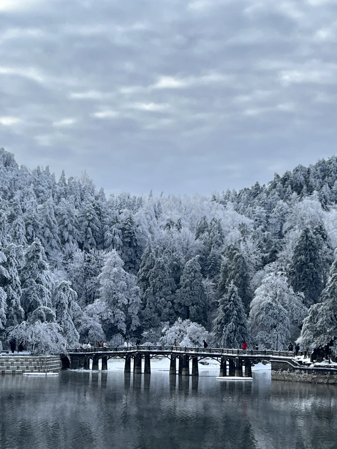 一到冬天❄️庐山就是掌管雪景的神👺【1.26】