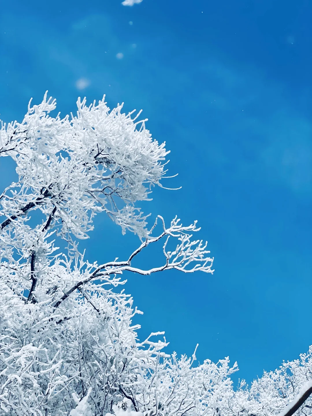 距离西安1.5小时,这里过年居然这么好玩