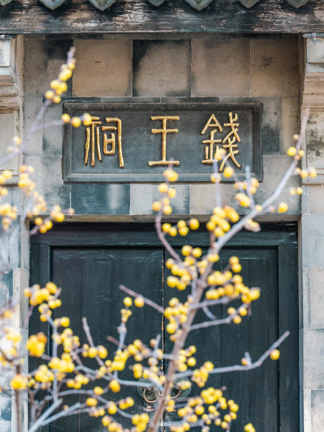 不愧是央妈严选,我最喜欢的江南古镇出现了