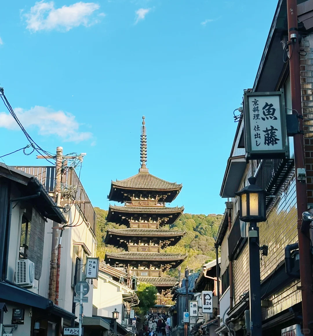 大学生勇闯🇯🇵八天七晚人均💰7k的旅游攻略