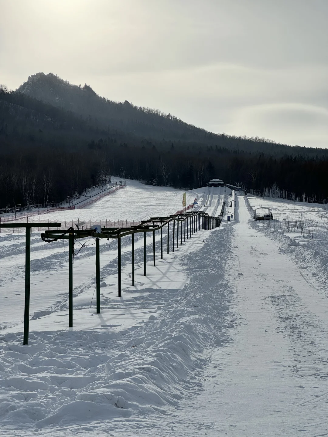 冬日反向旅游!闯入伊春的冰雪童话森林