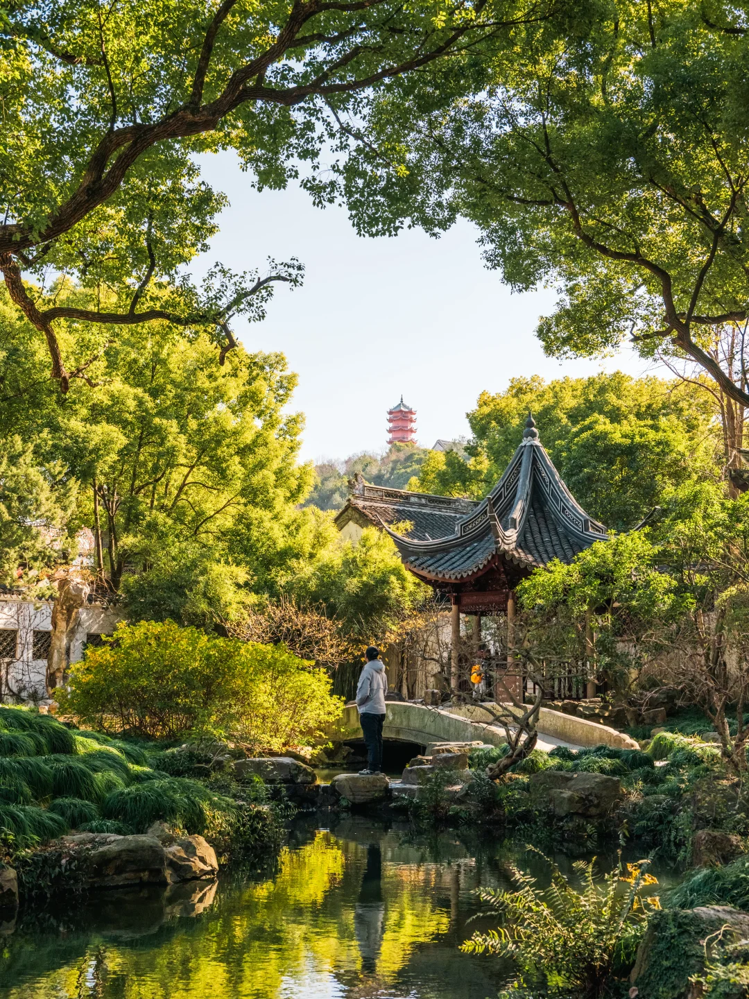 不愧是央妈严选,我最喜欢的江南古镇出现了
