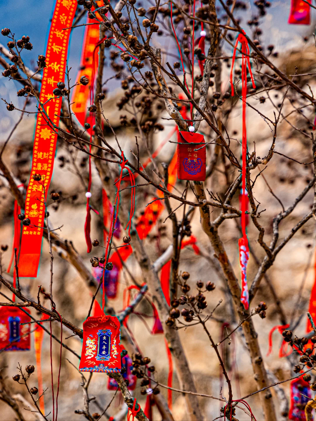 距离西安1.5小时,这里过年居然这么好玩