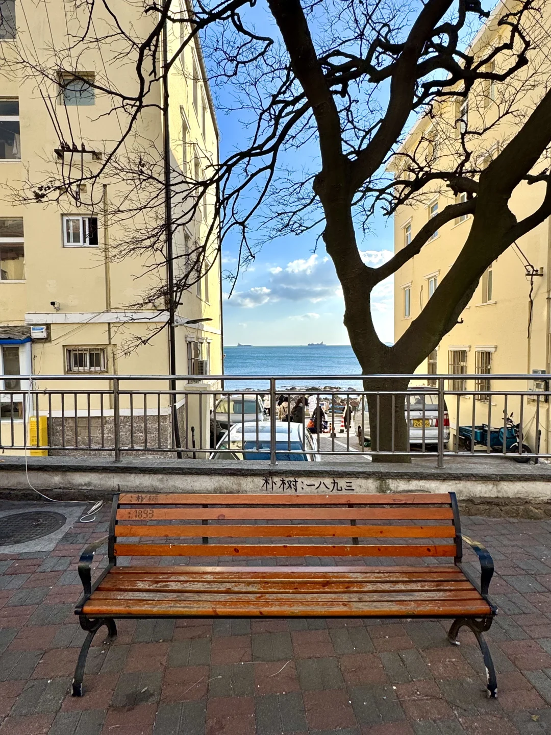 青岛1月16日现状！反向旅游真的劝退不了一点