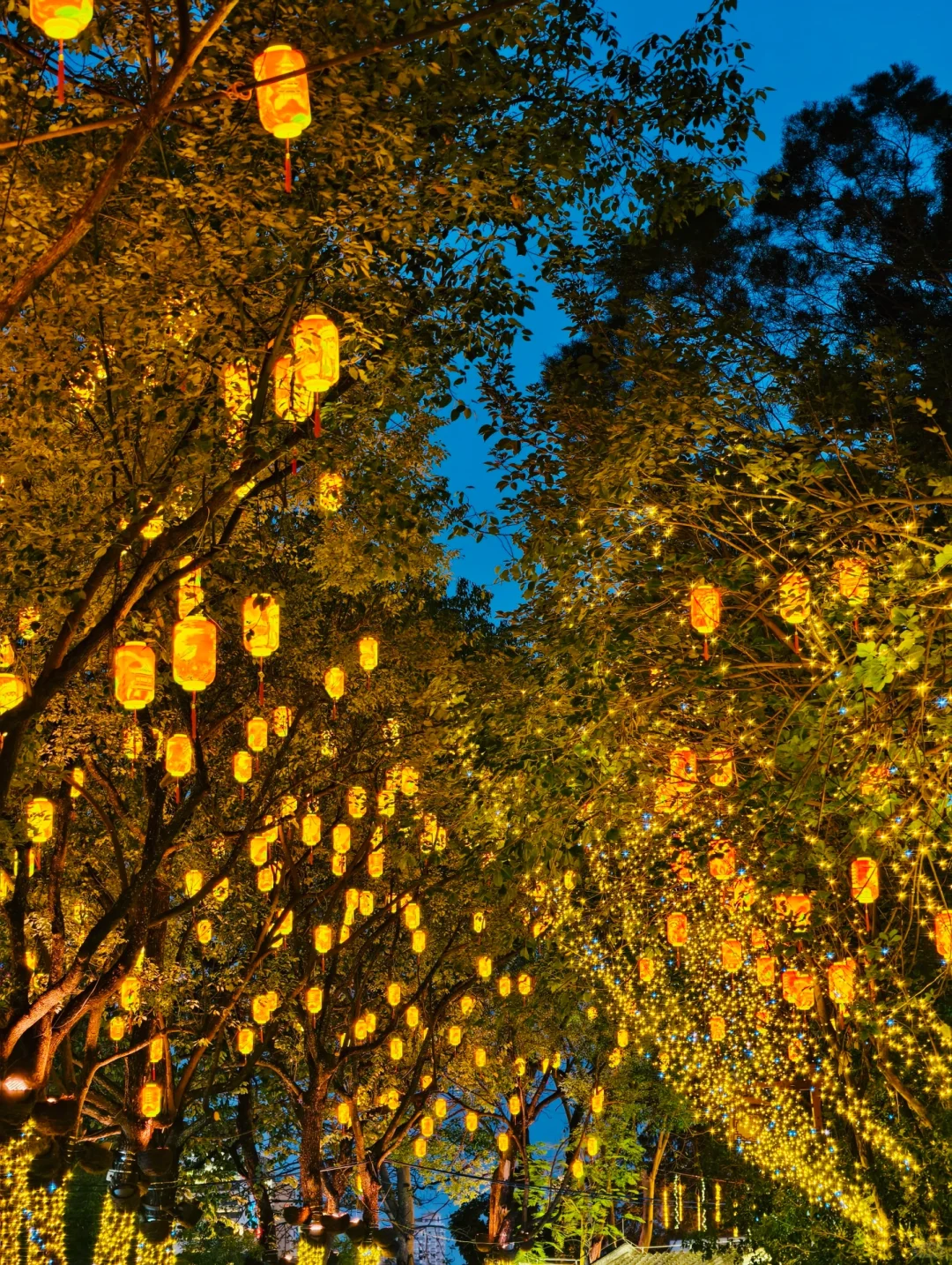 惠州｜春节citywalk别错过这些景点和花灯