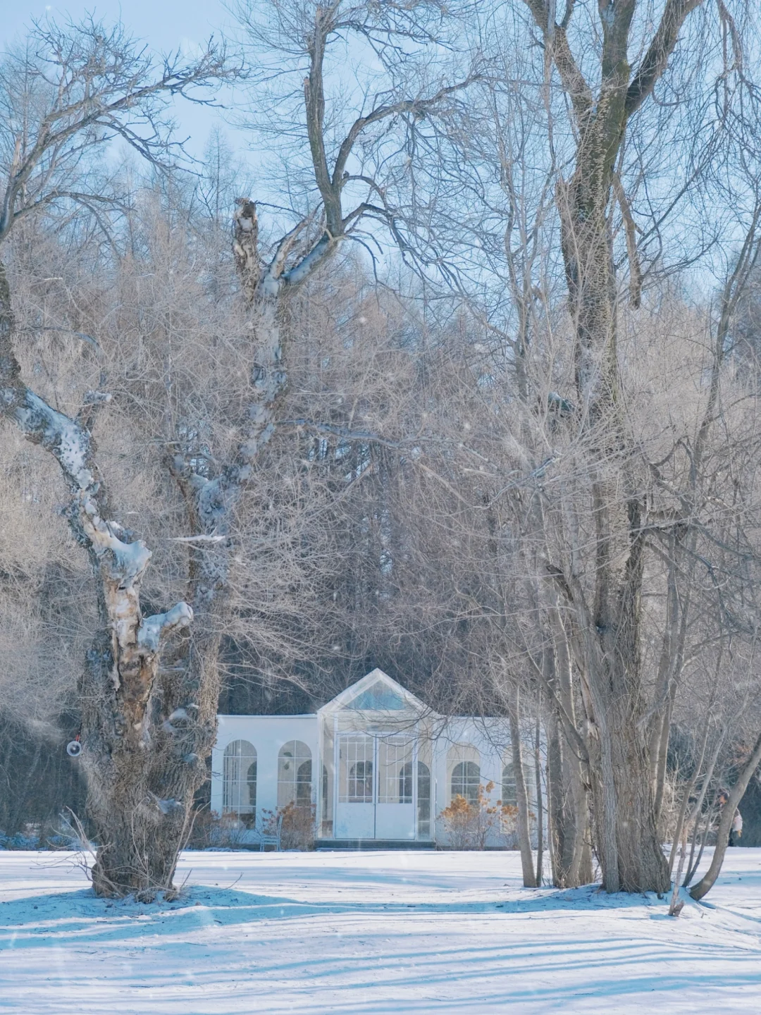 长春净月潭冬季游玩全攻略‼️不踩雷