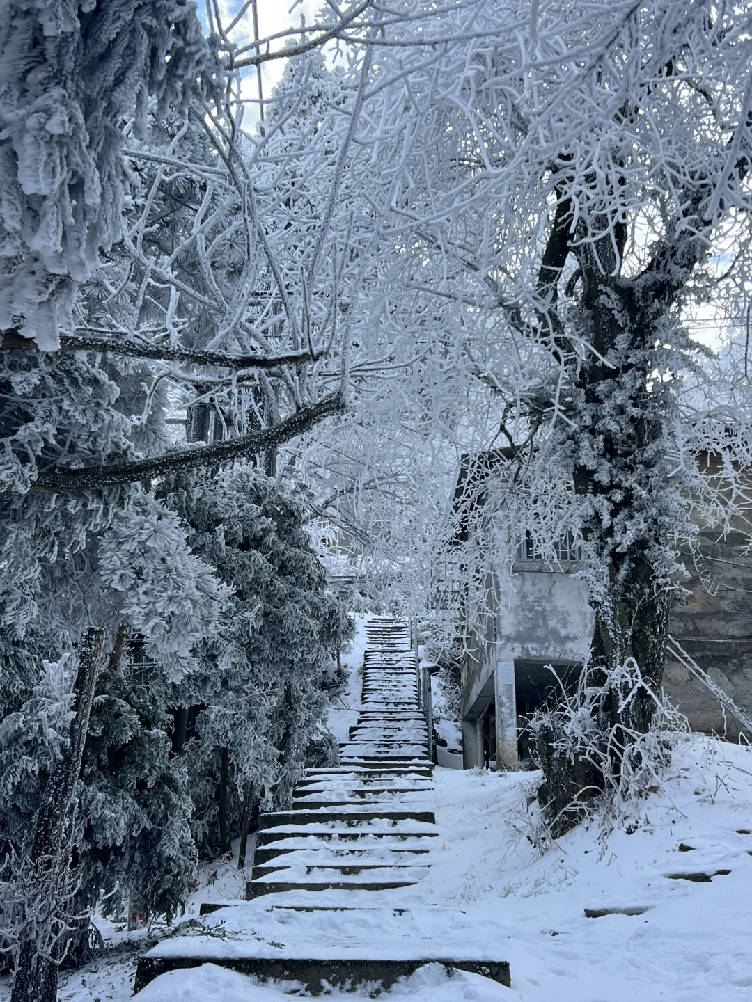 一到冬天❄️庐山就是掌管雪景的神👺【1.26】