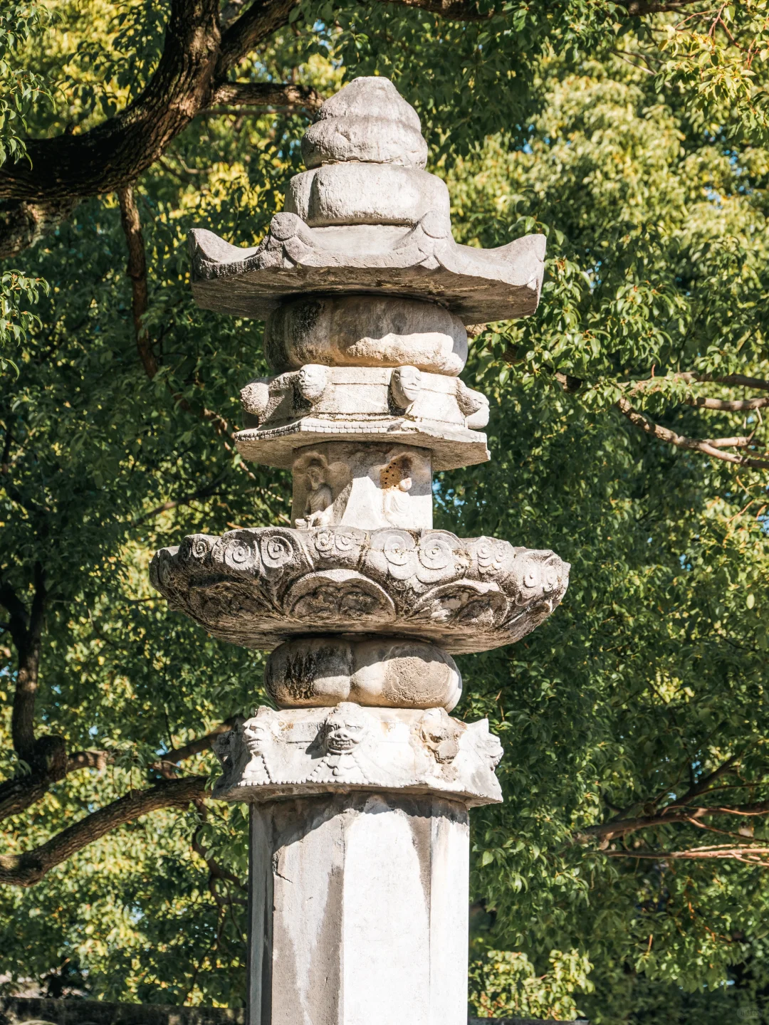 不愧是央妈严选,我最喜欢的江南古镇出现了