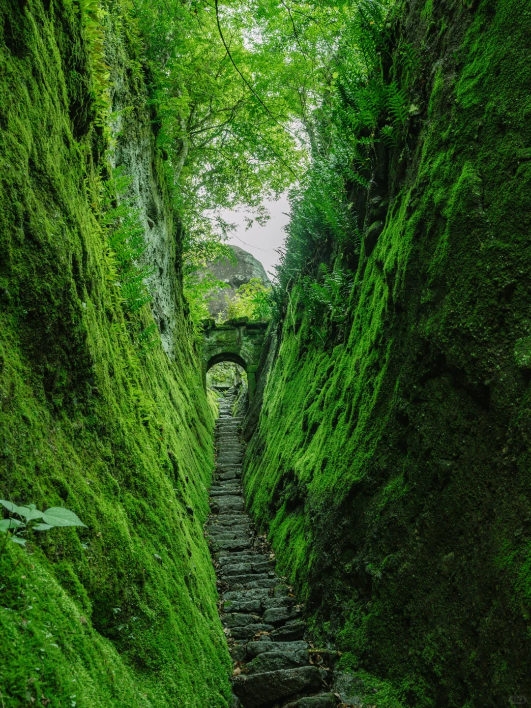 比起厦门,我更爱这《国家地理》推荐的小城