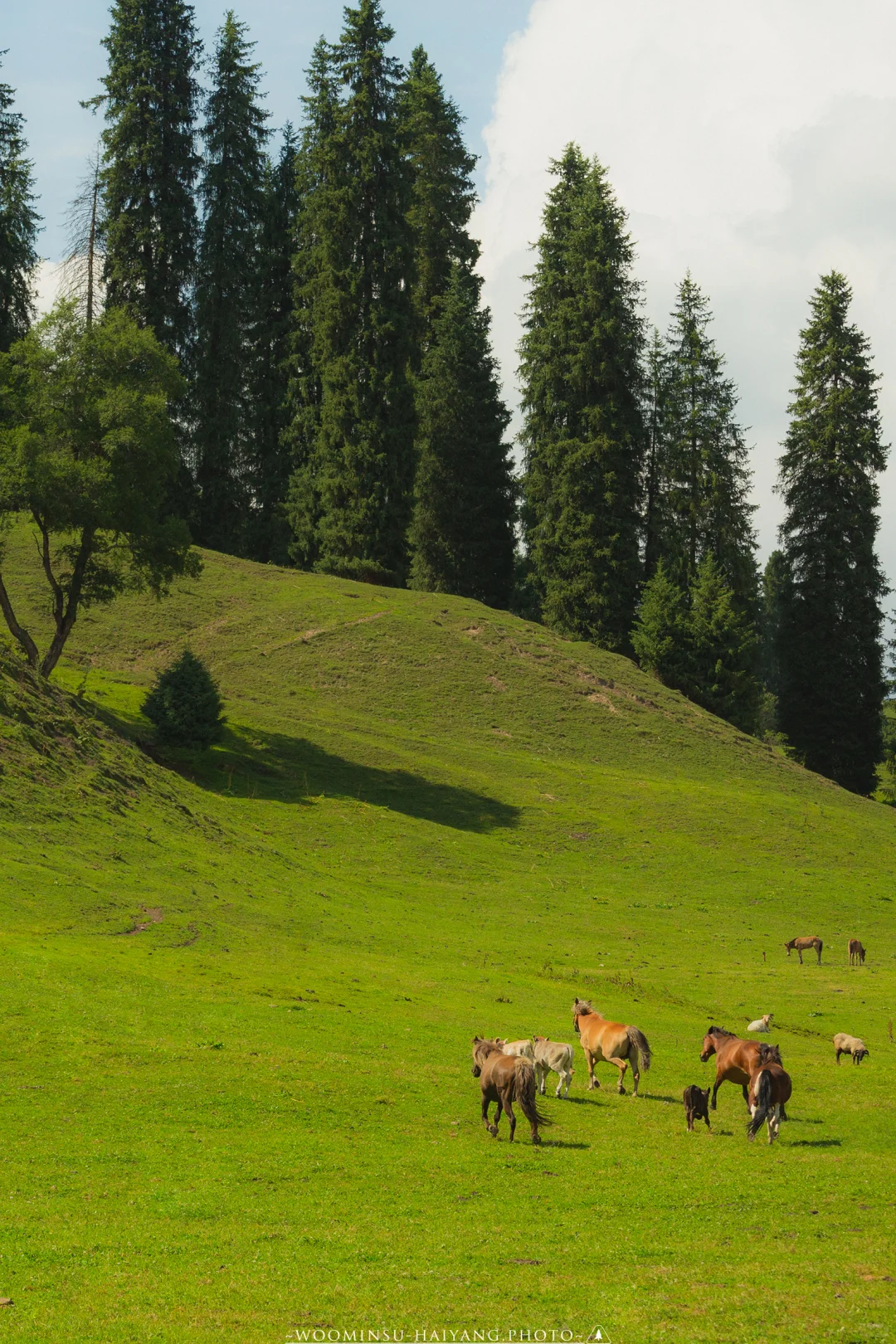 real China! Chinese outdoor life