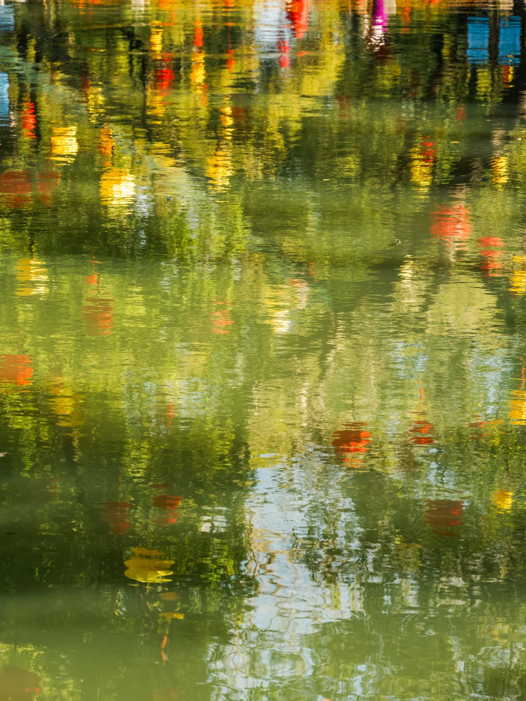 不愧是央妈严选,我最喜欢的江南古镇出现了