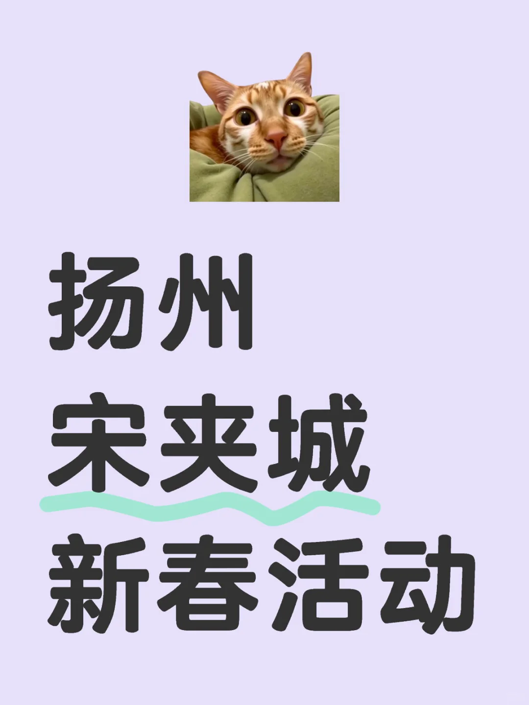 扬州景点——扬州宋夹城新春活动