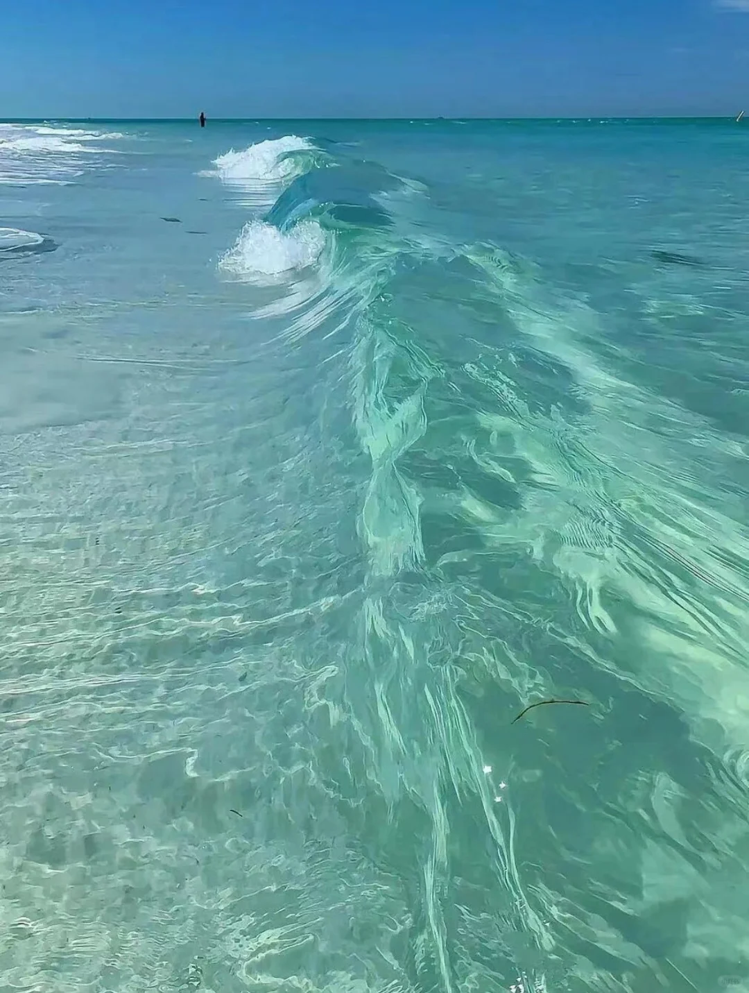 真心建议…春节就去斐济吧，划算到怀疑人生😱